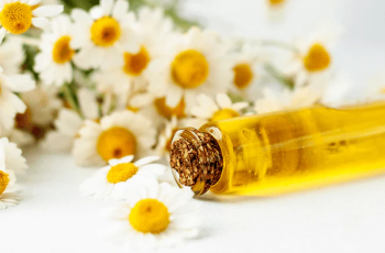 Bisabolol in Skincare: The Gentle, Soothing Solution for Sensitive Skin